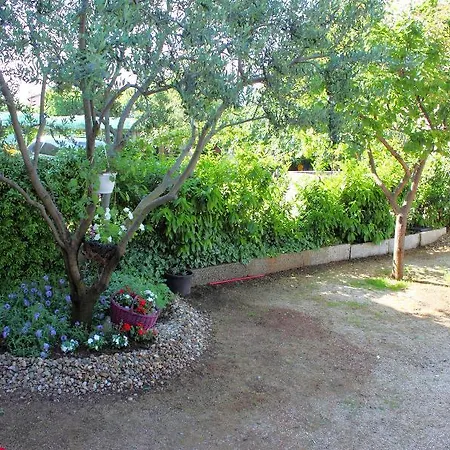 Ante Apartament